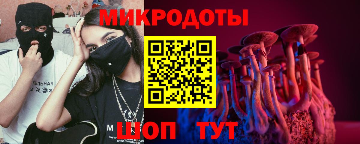 Псилоцибиновые грибы Cubensis Кубинка